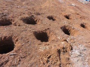 Holes are dug, ready for the playground build to begin